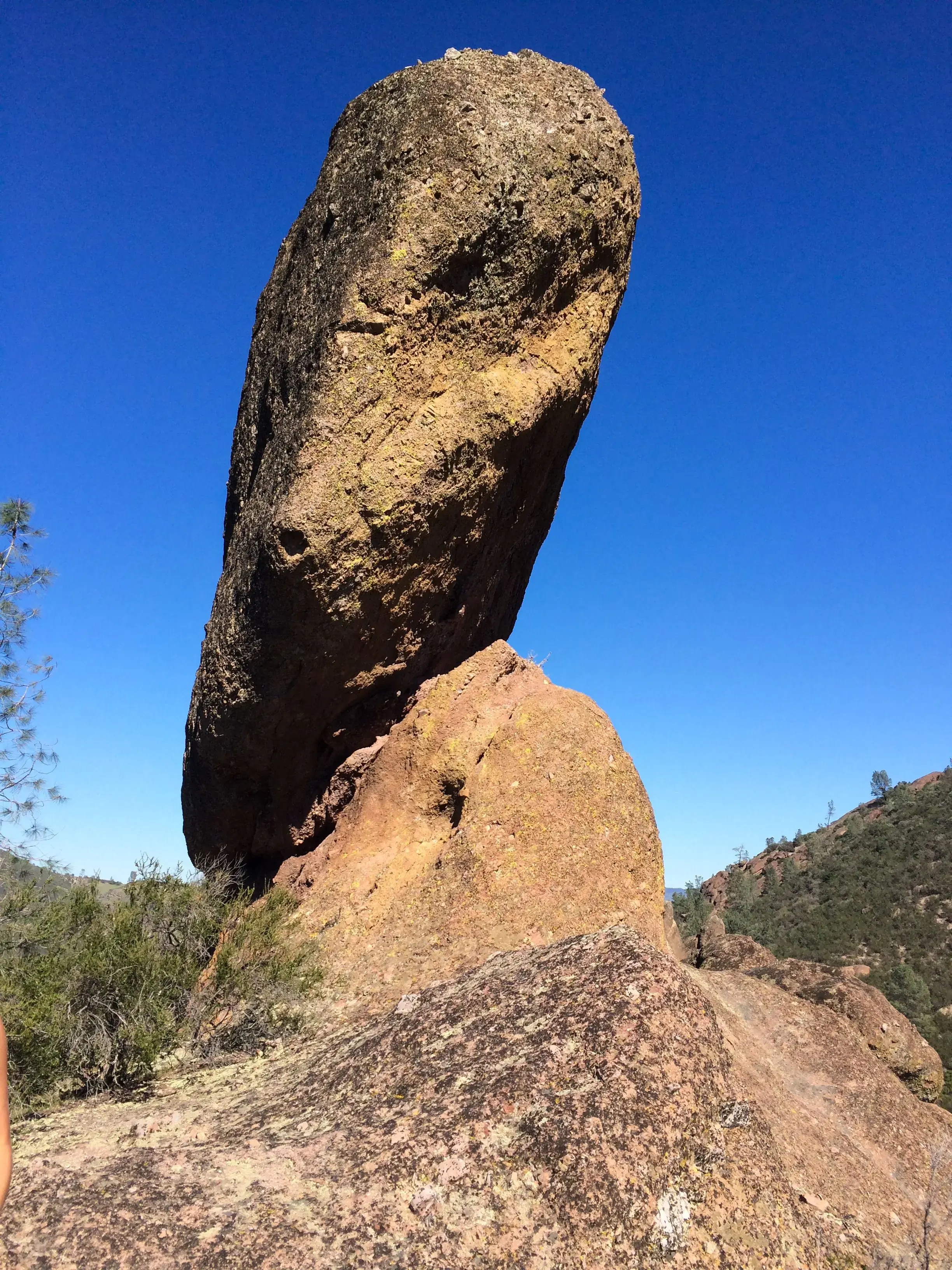 Image 13