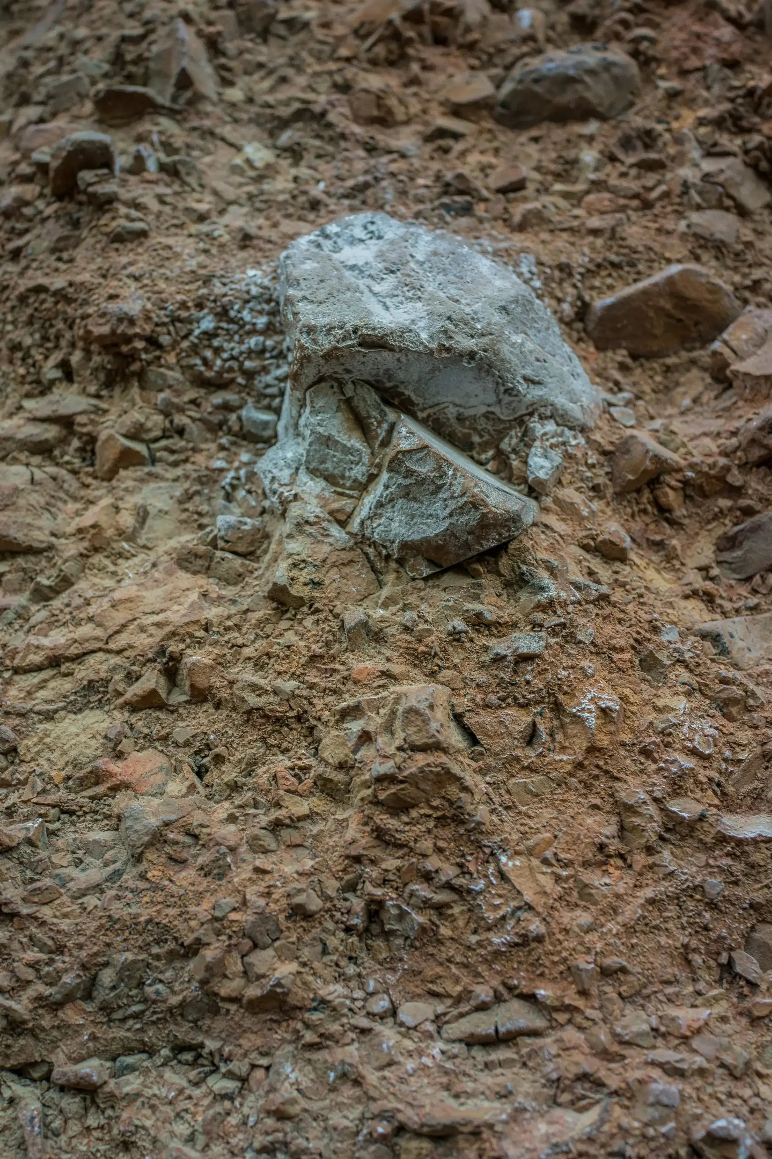 Image 22
