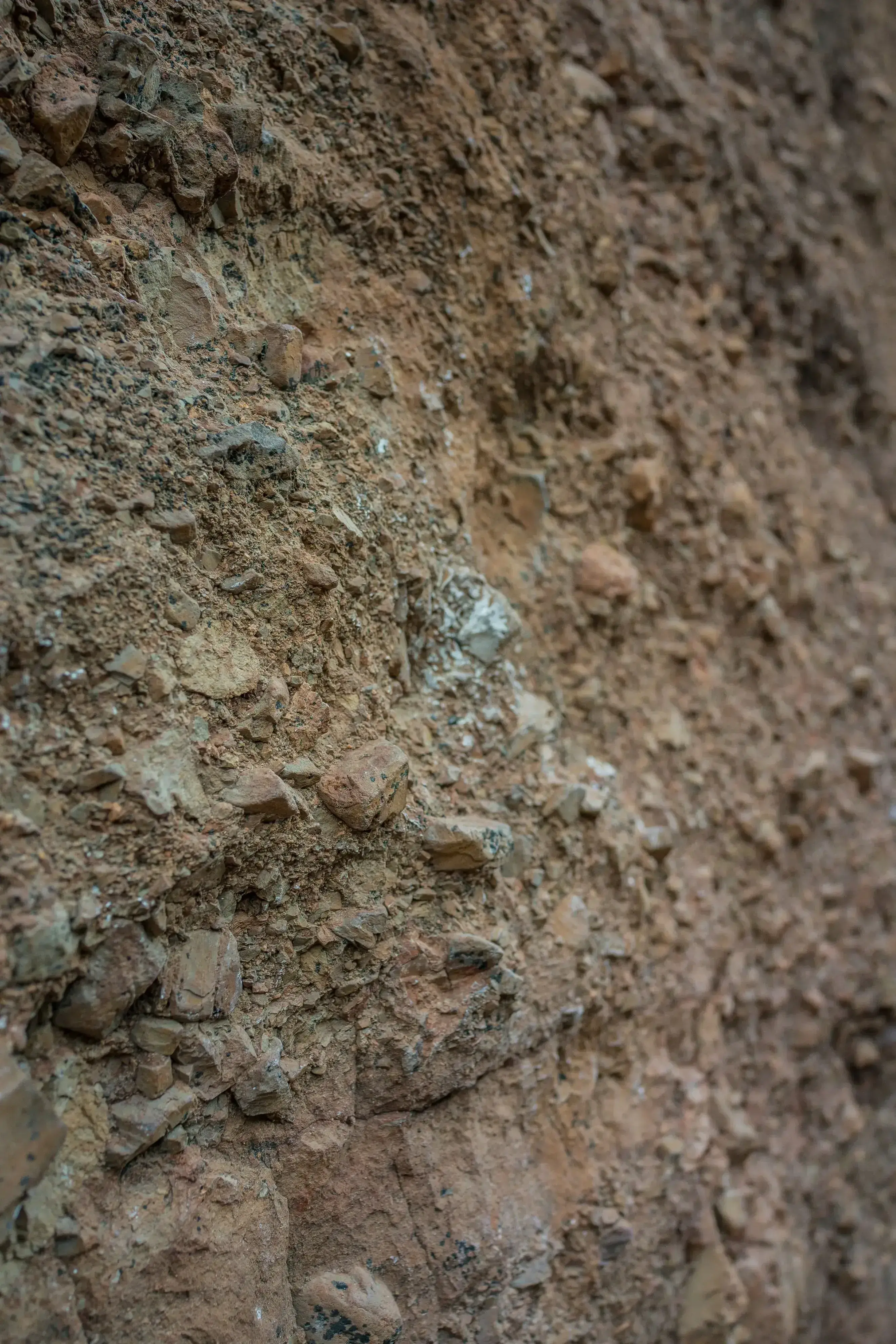 Image 23